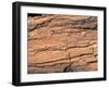 Wood Image-WizData-Framed Photographic Print