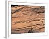 Wood Image-WizData-Framed Photographic Print