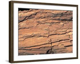 Wood Image-WizData-Framed Photographic Print
