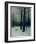 Wood in Winter, 1885-Isaak Ilyich Levitan-Framed Giclee Print