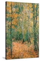 Wood Lane-Claude Monet-Stretched Canvas