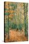 Wood Lane-Claude Monet-Stretched Canvas