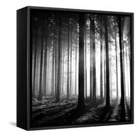 Wood Light-null-Framed Stretched Canvas