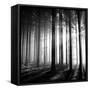 Wood Light-null-Framed Stretched Canvas