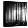 Wood Light-null-Framed Stretched Canvas