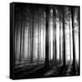 Wood Light-null-Framed Stretched Canvas