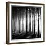 Wood Light-null-Framed Photographic Print