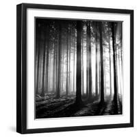 Wood Light-null-Framed Photographic Print