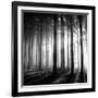 Wood Light-null-Framed Photographic Print