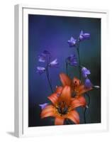 Wood Lily and Harebells, St. Ignace, Michigan, USA-Claudia Adams-Framed Premium Photographic Print