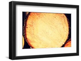 Wood Logs-B-D-S-Framed Photographic Print