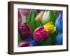 Wood Made Tulips, Rotterdam, Netherlands-Keren Su-Framed Photographic Print