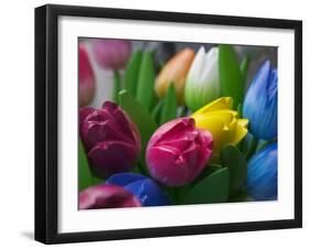 Wood Made Tulips, Rotterdam, Netherlands-Keren Su-Framed Photographic Print