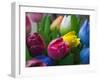 Wood Made Tulips, Rotterdam, Netherlands-Keren Su-Framed Photographic Print