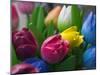 Wood Made Tulips, Rotterdam, Netherlands-Keren Su-Mounted Photographic Print