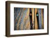 Wood Man-Ursula Abresch-Framed Photographic Print