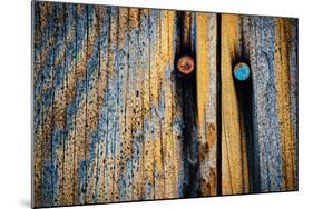 Wood Man-Ursula Abresch-Mounted Photographic Print