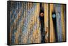Wood Man-Ursula Abresch-Framed Stretched Canvas