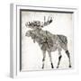 Wood Moose Mate-Jace Grey-Framed Art Print