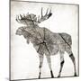 Wood Moose Mate-Jace Grey-Mounted Art Print