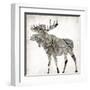 Wood Moose Mate-Jace Grey-Framed Art Print