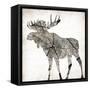Wood Moose Mate-Jace Grey-Framed Stretched Canvas