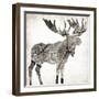Wood Moose-Jace Grey-Framed Art Print