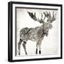 Wood Moose-Jace Grey-Framed Art Print