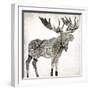 Wood Moose-Jace Grey-Framed Art Print