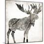 Wood Moose-Jace Grey-Mounted Art Print