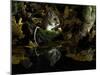 Wood Mouse Cleaning by Woodland Pool in Autumn, UK-Andy Sands-Mounted Photographic Print
