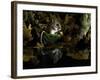 Wood Mouse Cleaning by Woodland Pool in Autumn, UK-Andy Sands-Framed Photographic Print