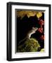 Wood Mouse Investigating Black Bryony Berries, UK-Andy Sands-Framed Photographic Print