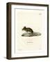 Wood Mouse-null-Framed Giclee Print