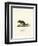 Wood Mouse-null-Framed Premium Giclee Print