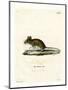 Wood Mouse-null-Mounted Premium Giclee Print