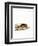 Wood Mouse-null-Framed Premium Giclee Print