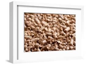 Wood Pellet Background Pattern-Bashutskyy-Framed Photographic Print