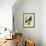 Wood Pigeon-Georges-Louis Buffon-Framed Giclee Print displayed on a wall