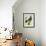 Wood Pigeon-Georges-Louis Buffon-Framed Giclee Print displayed on a wall