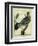 Wood Pigeon-Georges-Louis Buffon-Framed Giclee Print