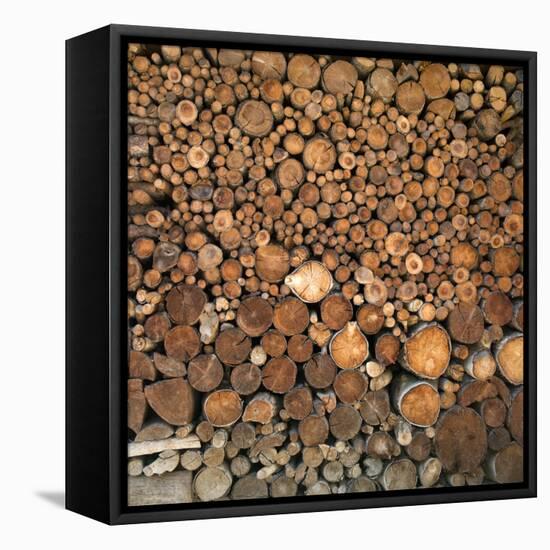 Wood Pile in the Walser Village of Grimentz, Valais, Swiss Alps, Switzerland, Europe-Angelo Cavalli-Framed Stretched Canvas