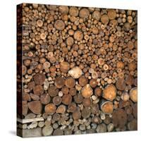 Wood Pile in the Walser Village of Grimentz, Valais, Swiss Alps, Switzerland, Europe-Angelo Cavalli-Stretched Canvas