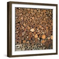 Wood Pile in the Walser Village of Grimentz, Valais, Swiss Alps, Switzerland, Europe-Angelo Cavalli-Framed Photographic Print