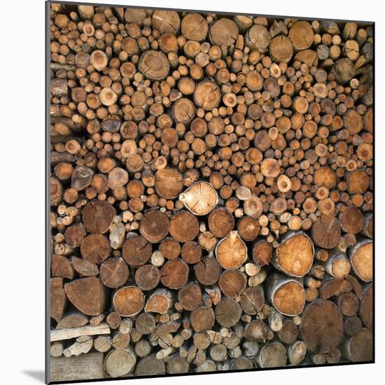 Wood Pile in the Walser Village of Grimentz, Valais, Swiss Alps, Switzerland, Europe-Angelo Cavalli-Mounted Photographic Print