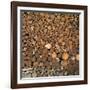 Wood Pile in the Walser Village of Grimentz, Valais, Swiss Alps, Switzerland, Europe-Angelo Cavalli-Framed Photographic Print