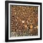 Wood Pile in the Walser Village of Grimentz, Valais, Swiss Alps, Switzerland, Europe-Angelo Cavalli-Framed Photographic Print