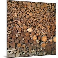 Wood Pile in the Walser Village of Grimentz, Valais, Swiss Alps, Switzerland, Europe-Angelo Cavalli-Mounted Photographic Print