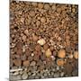 Wood Pile in the Walser Village of Grimentz, Valais, Swiss Alps, Switzerland, Europe-Angelo Cavalli-Mounted Photographic Print