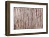 Wood Plank Colored Texture Background, Painted Wooden Floor, Table of Grain Board-Vladimirs-Framed Photographic Print